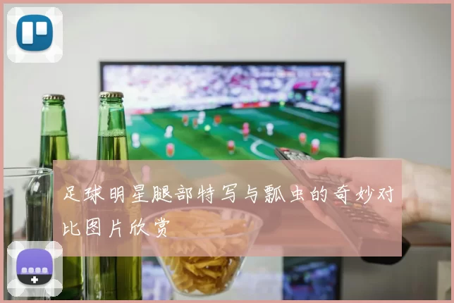 足球明星腿部特写与瓢虫的奇妙对比图片欣赏