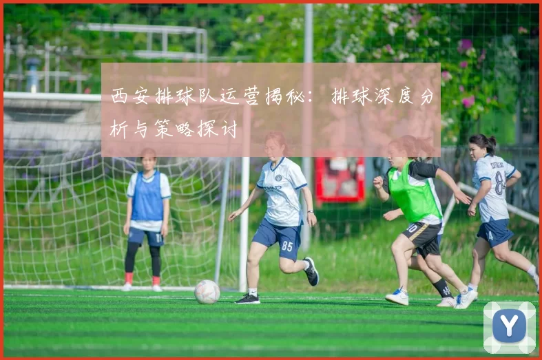 西安排球队运营揭秘：排球深度分析与策略探讨