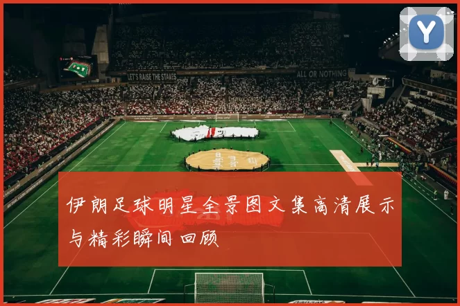 伊朗足球明星全景图文集高清展示与精彩瞬间回顾