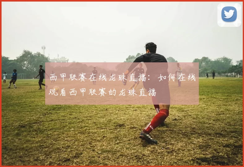 西甲联赛在线龙珠直播：如何在线观看西甲联赛的龙珠直播