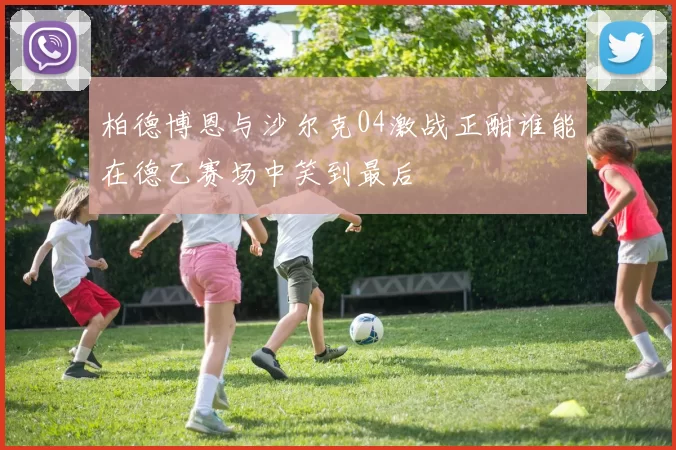 柏德博恩与沙尔克04激战正酣谁能在德乙赛场中笑到最后