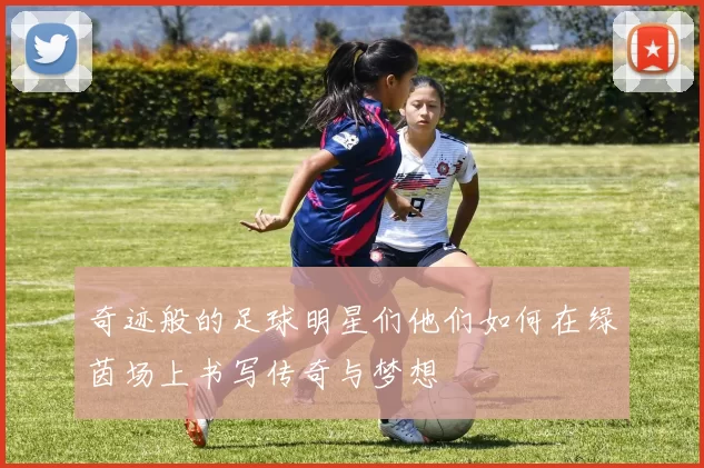 奇迹般的足球明星们他们如何在绿茵场上书写传奇与梦想
