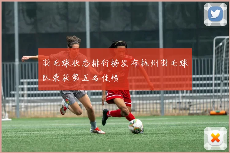 羽毛球状态排行榜发布杭州羽毛球队荣获第五名佳绩