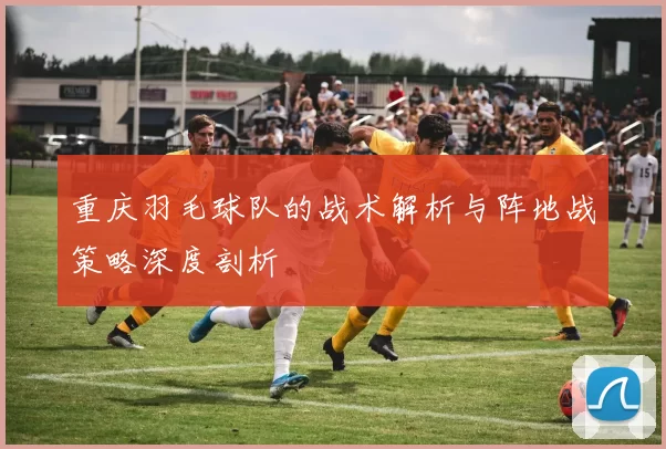 重庆羽毛球队的战术解析与阵地战策略深度剖析