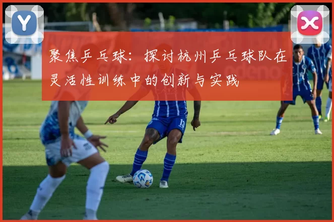 聚焦乒乓球：探讨杭州乒乓球队在灵活性训练中的创新与实践