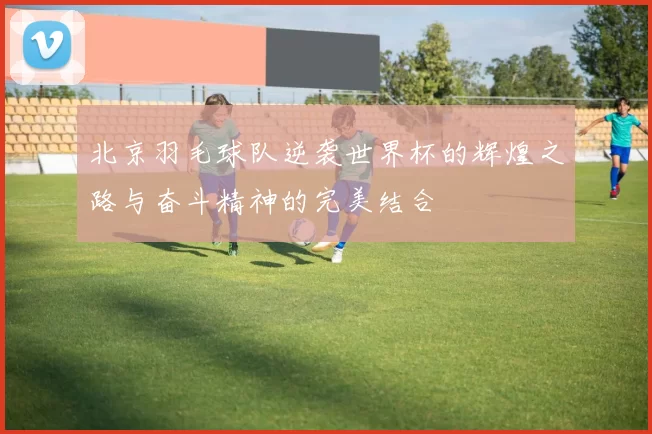 北京羽毛球队逆袭世界杯的辉煌之路与奋斗精神的完美结合
