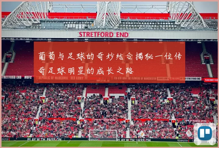 葡萄与足球的奇妙结合揭秘一位传奇足球明星的成长之路