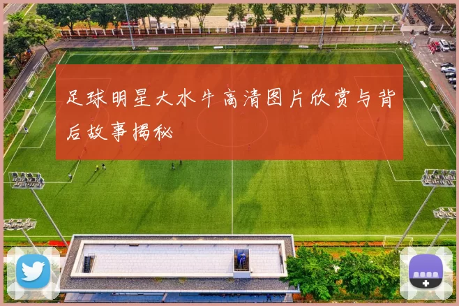 足球明星大水牛高清图片欣赏与背后故事揭秘