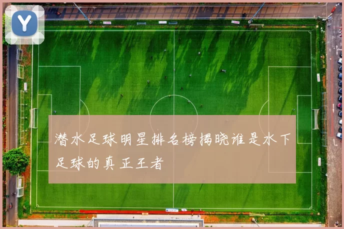 潜水足球明星排名榜揭晓谁是水下足球的真正王者