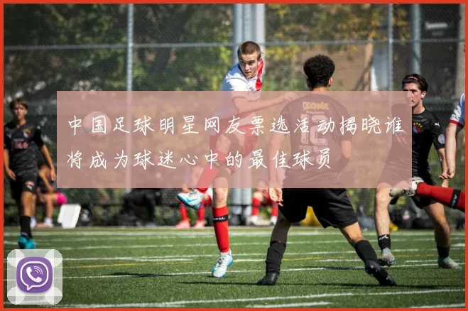 中国足球明星网友票选活动揭晓谁将成为球迷心中的最佳球员