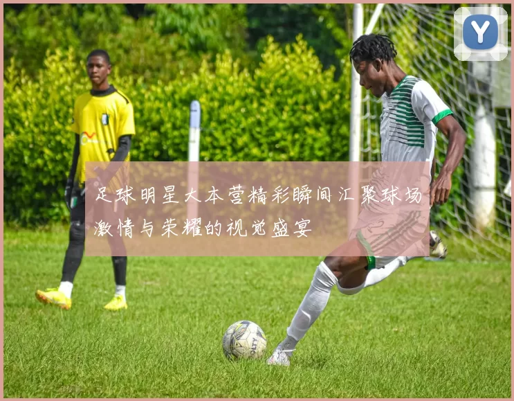 足球明星大本营精彩瞬间汇聚球场激情与荣耀的视觉盛宴
