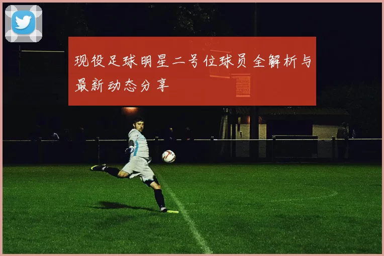 现役足球明星二号位球员全解析与最新动态分享