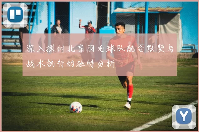 深入探讨北京羽毛球队配合默契与战术执行的独特分析