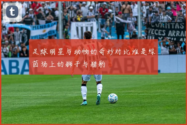 足球明星与动物的奇妙对比谁是绿茵场上的狮子与猎豹