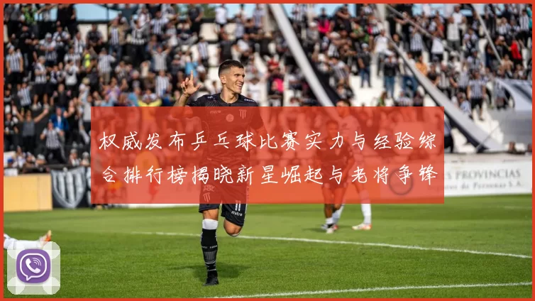 权威发布乒乓球比赛实力与经验综合排行榜揭晓新星崛起与老将争锋