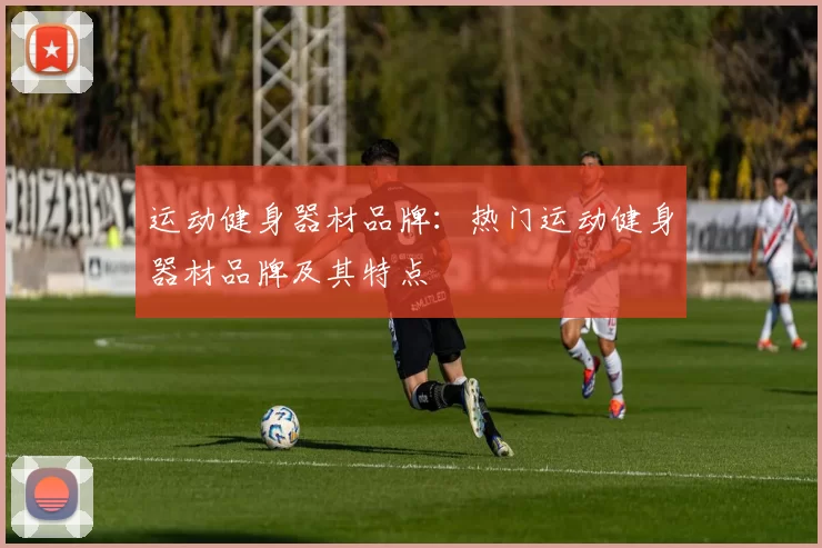 运动健身器材品牌：热门运动健身器材品牌及其特点
