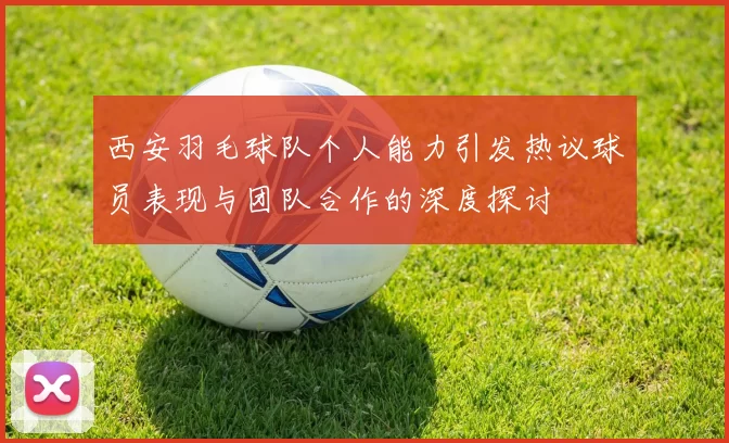 西安羽毛球队个人能力引发热议球员表现与团队合作的深度探讨