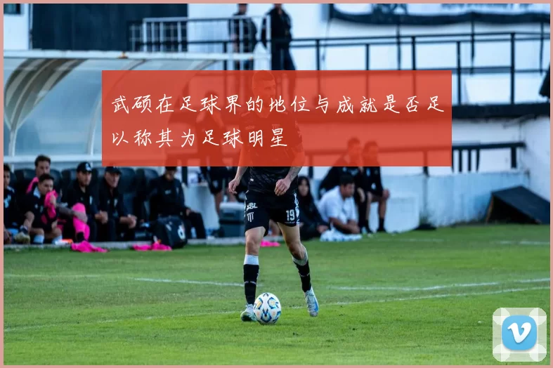 武硕在足球界的地位与成就是否足以称其为足球明星