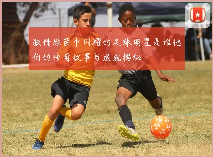 激情绿茵中闪耀的足球明星是谁他们的传奇故事与成就揭秘