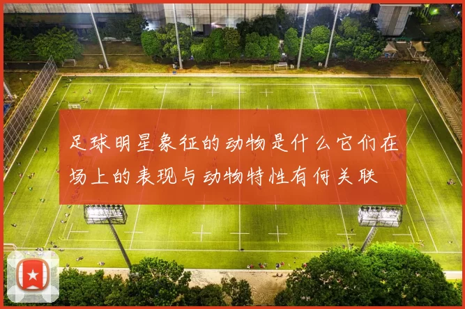足球明星象征的动物是什么它们在场上的表现与动物特性有何关联