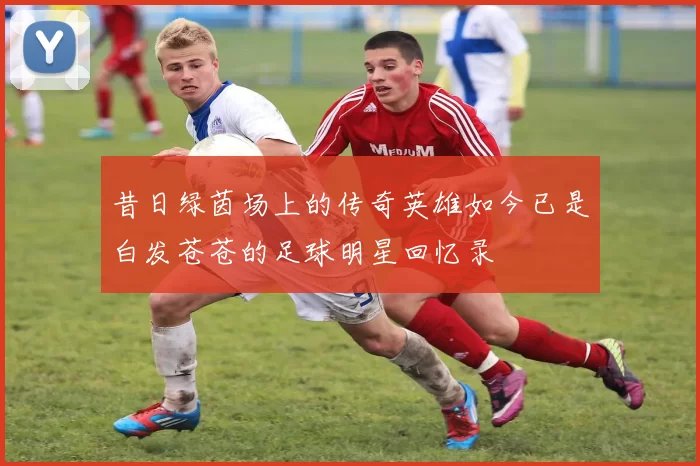 昔日绿茵场上的传奇英雄如今已是白发苍苍的足球明星回忆录