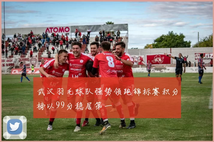 武汉羽毛球队强势领跑锦标赛积分榜以99分稳居第一