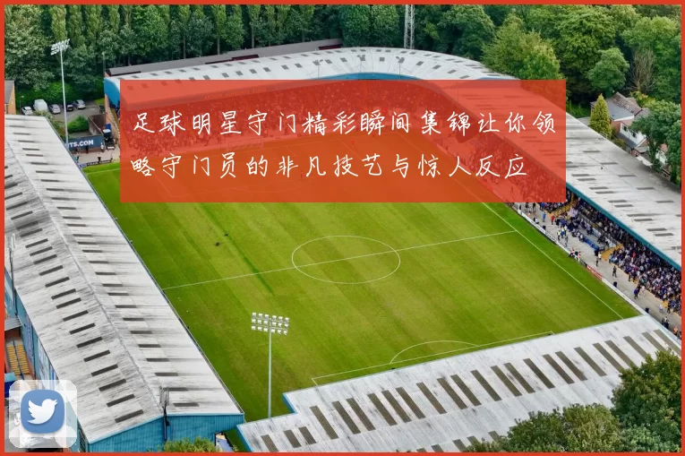 足球明星守门精彩瞬间集锦让你领略守门员的非凡技艺与惊人反应